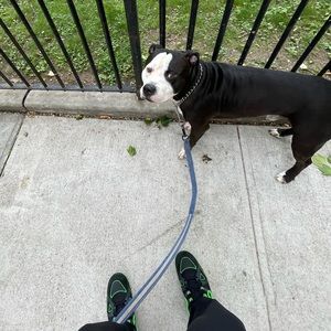 Meet your Posher, You